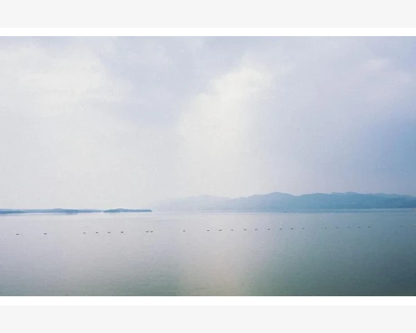 夏日除湿驱寒，保健中医妙方，让你舒爽度过炎热夏季！