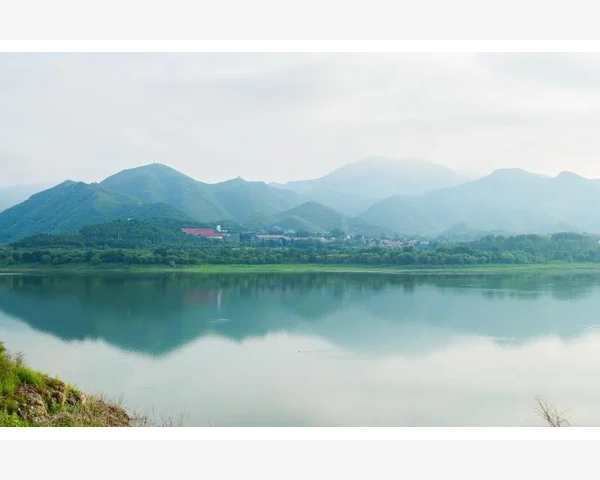 夏日降湿排毒必备！这些泡脚方让你彻底告别湿气寒气